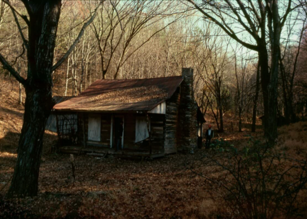 The Evil Dead (1981)